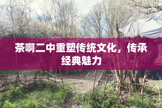 茶啊二中重塑传统文化，传承经典魅力