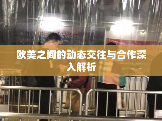 欧美之间的动态交往与合作深入解析