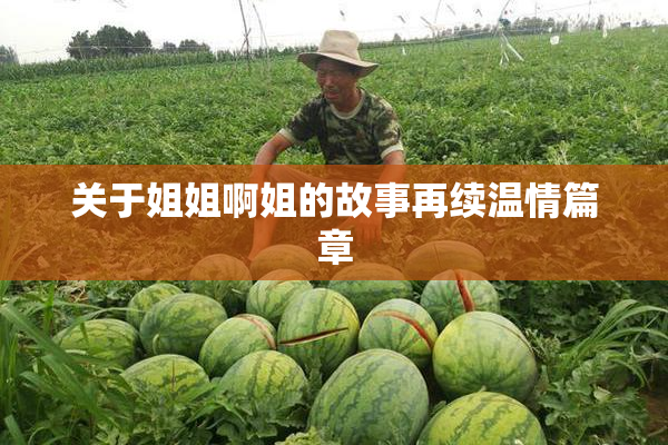 关于姐姐啊姐的故事再续温情篇章