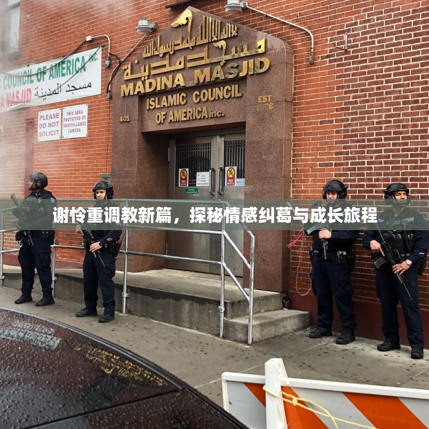 谢怜重调教新篇，探秘情感纠葛与成长旅程