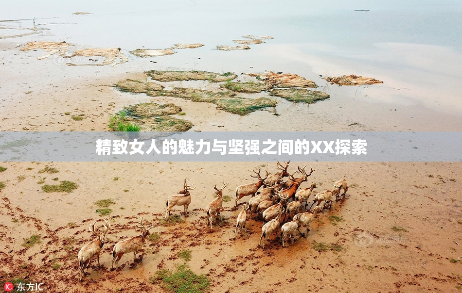精致女人的魅力与坚强之间的XX探索
