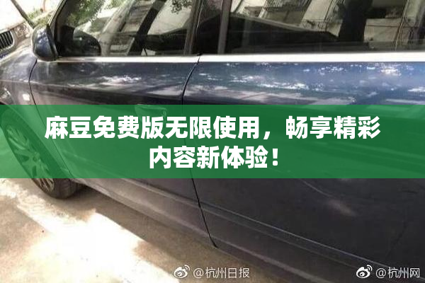 麻豆免费版无限使用，畅享精彩内容新体验！