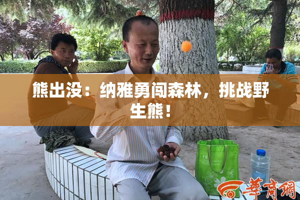 熊出没：纳雅勇闯森林，挑战野生熊！