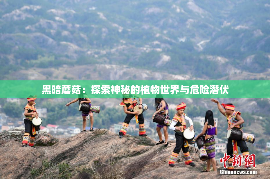 黑暗蘑菇：探索神秘的植物世界与危险潜伏