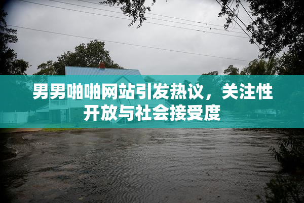 男男啪啪网站引发热议，关注性开放与社会接受度