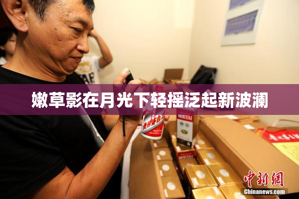嫩草影在月光下轻摇泛起新波澜
