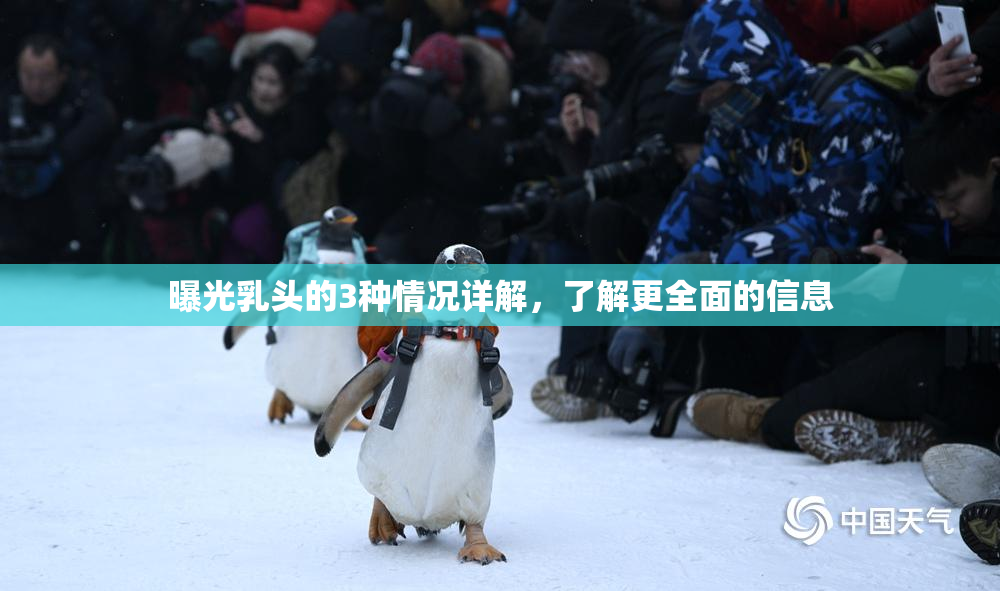 曝光乳头的3种情况详解，了解更全面的信息