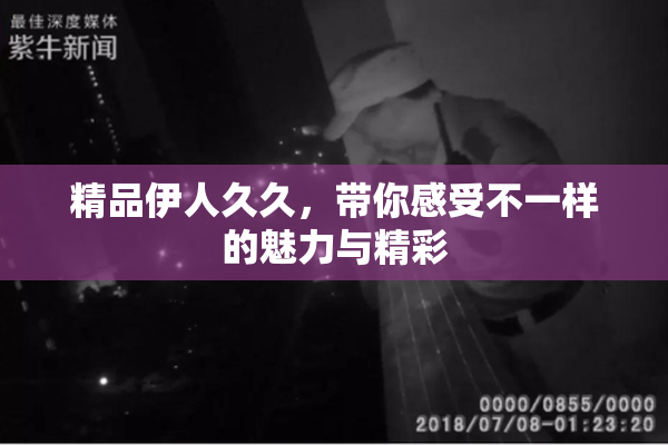 精品伊人久久，带你感受不一样的魅力与精彩