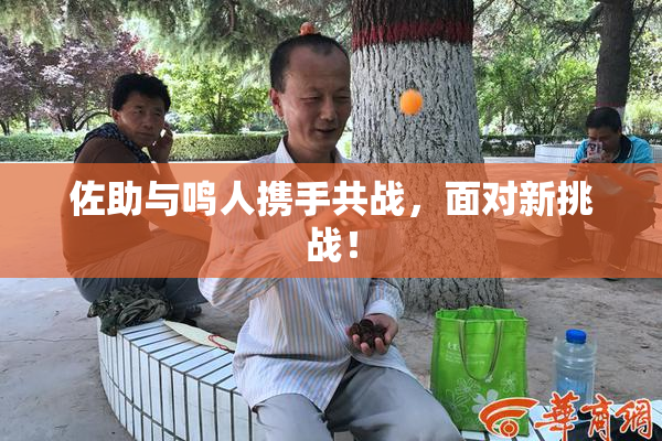 佐助与鸣人携手共战，面对新挑战！