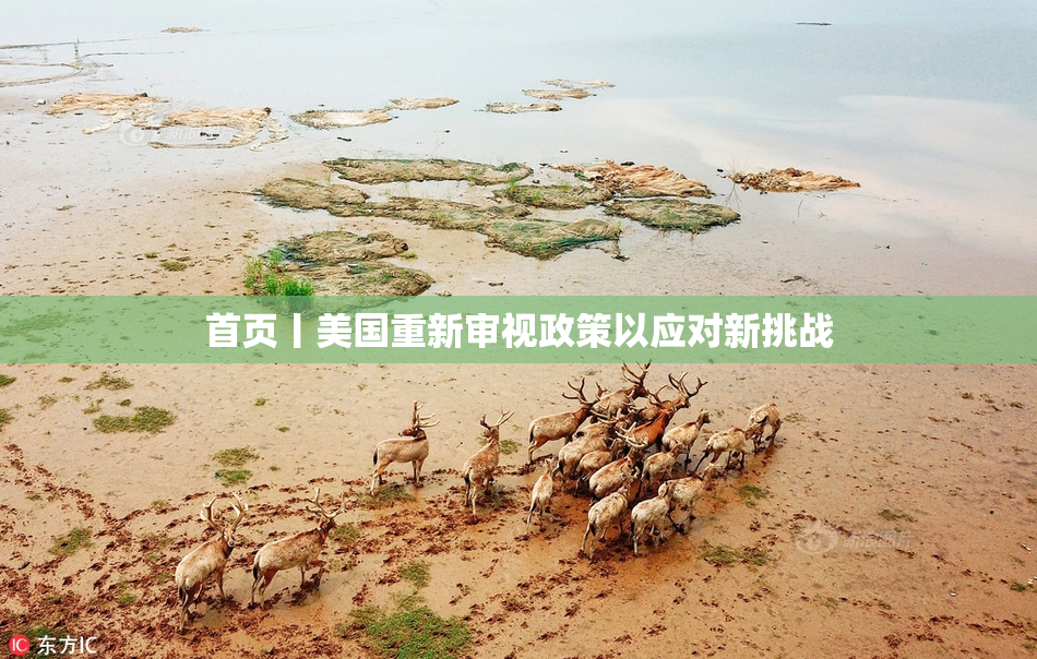 首页丨美国重新审视政策以应对新挑战