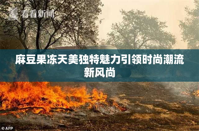麻豆果冻天美独特魅力引领时尚潮流新风尚