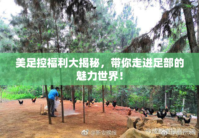 美足控福利大揭秘，带你走进足部的魅力世界！