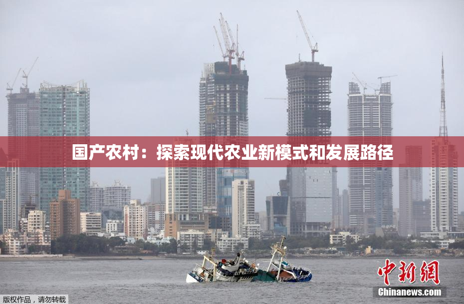 国产农村：探索现代农业新模式和发展路径
