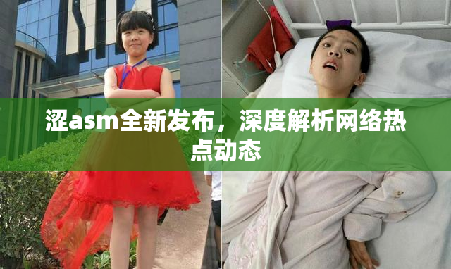 涩asm全新发布，深度解析网络热点动态