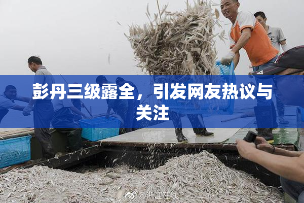 彭丹三级露全，引发网友热议与关注
