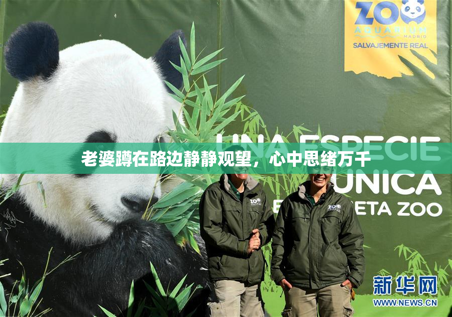 老婆蹲在路边静静观望，心中思绪万千