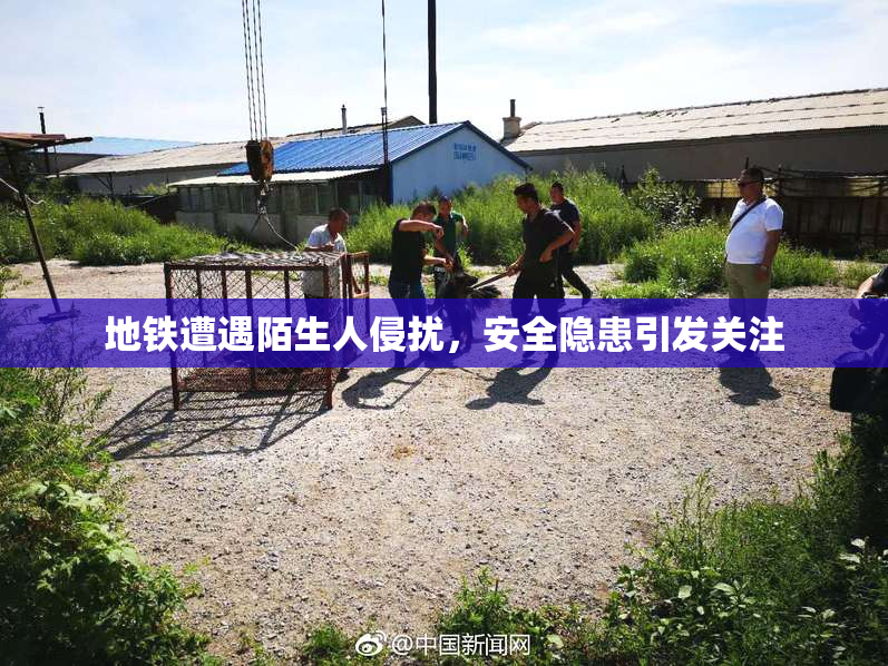 地铁遭遇陌生人侵扰，安全隐患引发关注