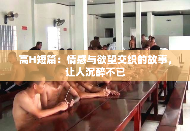 高H短篇：情感与欲望交织的故事，让人沉醉不已