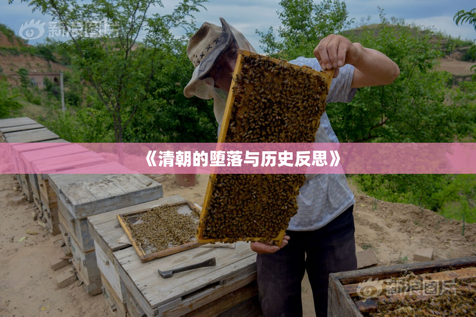 《清朝的堕落与历史反思》