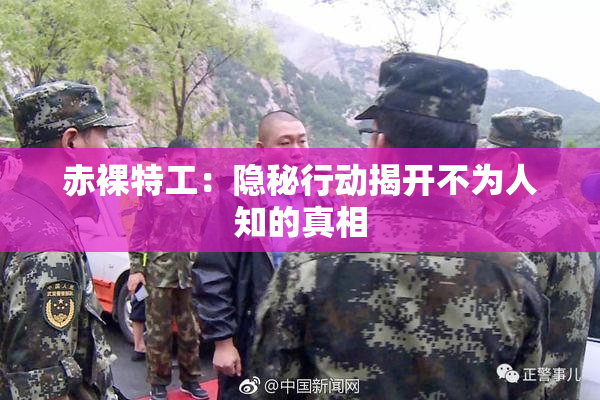 赤裸特工：隐秘行动揭开不为人知的真相