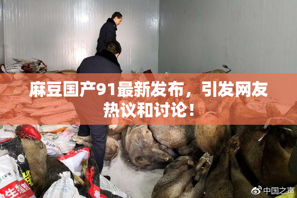 麻豆国产91最新发布，引发网友热议和讨论！