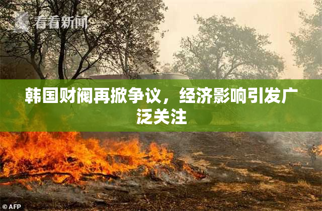 韩国财阀再掀争议，经济影响引发广泛关注