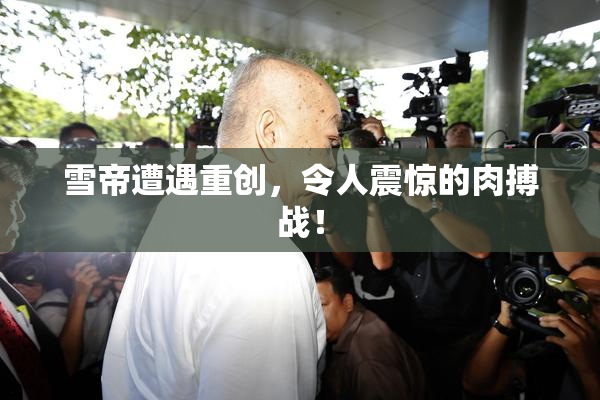 雪帝遭遇重创，令人震惊的肉搏战！