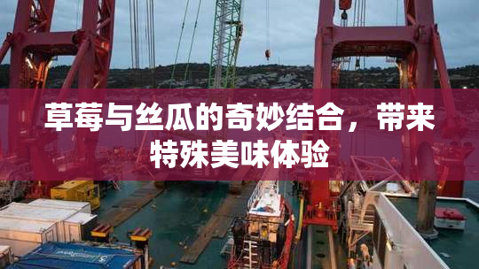 草莓与丝瓜的奇妙结合，带来特殊美味体验