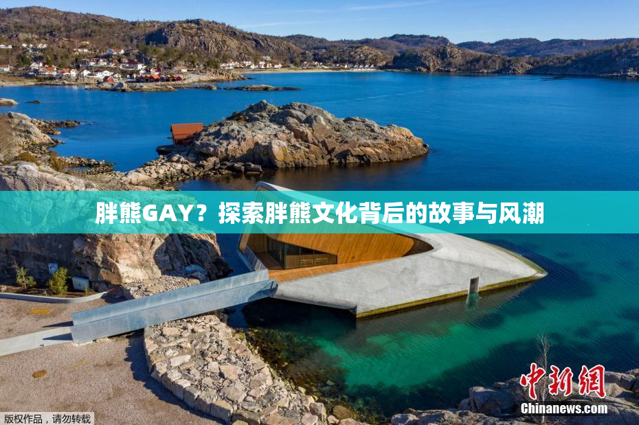 胖熊GAY？探索胖熊文化背后的故事与风潮