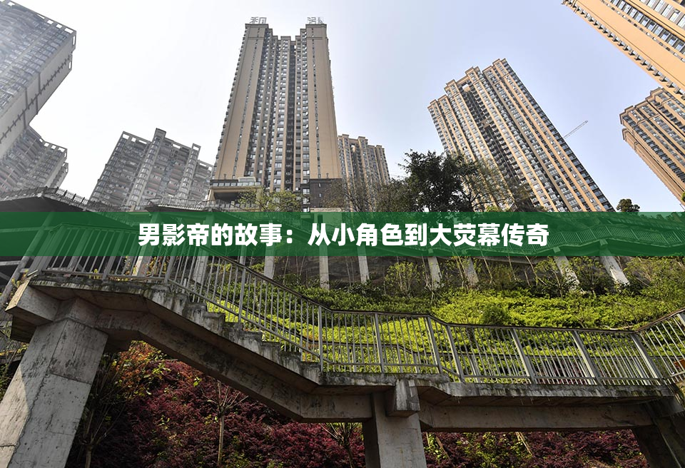 男影帝的故事：从小角色到大荧幕传奇