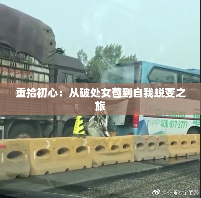 重拾初心：从破处女苞到自我蜕变之旅