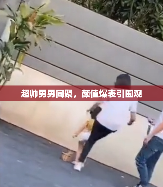 超帅男男同聚，颜值爆表引围观
