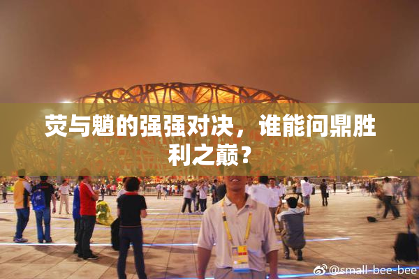 荧与魈的强强对决，谁能问鼎胜利之巅？