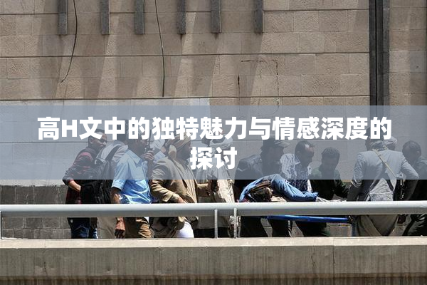 高H文中的独特魅力与情感深度的探讨