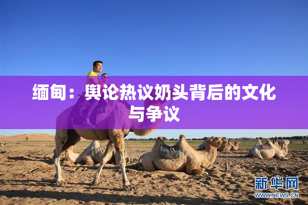 缅甸：舆论热议奶头背后的文化与争议