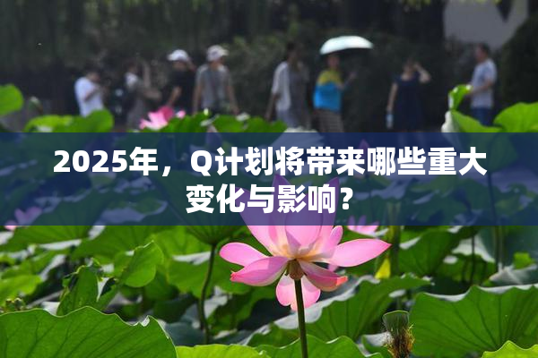 2025年，Q计划将带来哪些重大变化与影响？