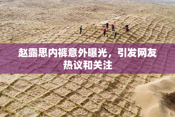 赵露思内裤意外曝光，引发网友热议和关注