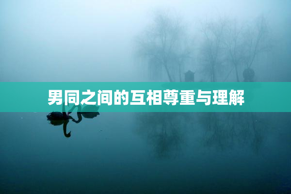 男同之间的互相尊重与理解