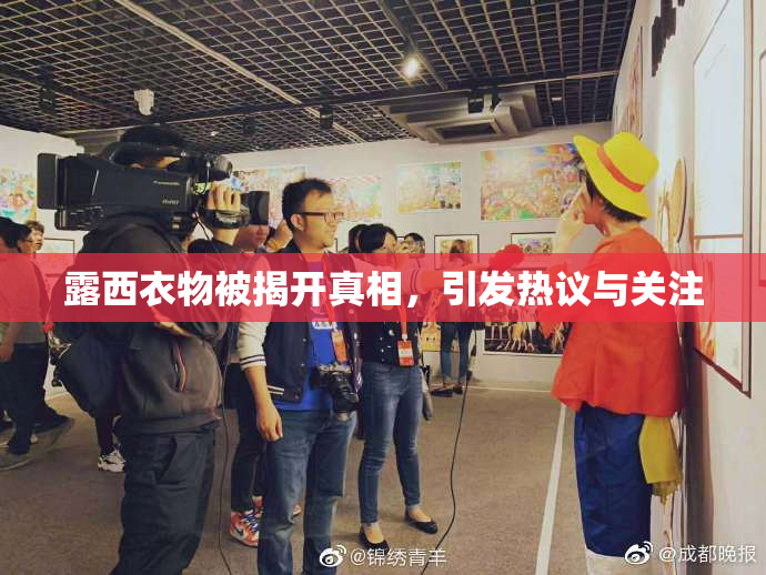 露西衣物被揭开真相，引发热议与关注