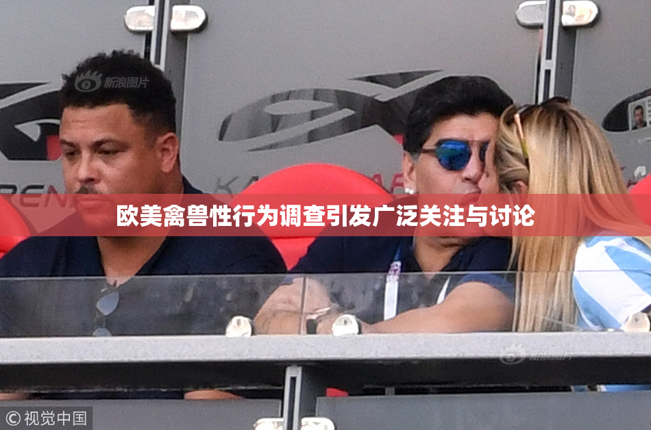 欧美禽兽性行为调查引发广泛关注与讨论