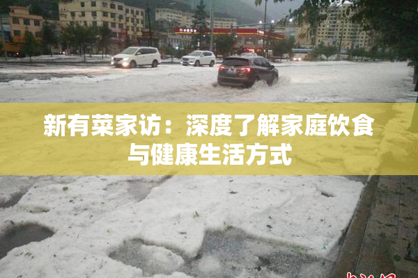 新有菜家访：深度了解家庭饮食与健康生活方式