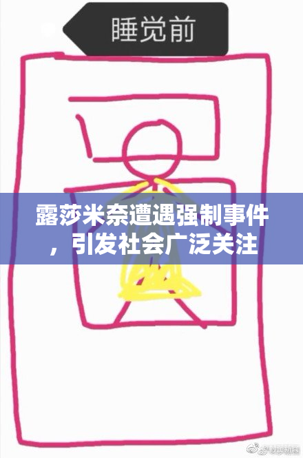 露莎米奈遭遇强制事件，引发社会广泛关注