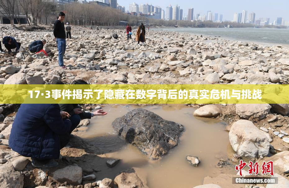 17·3事件揭示了隐藏在数字背后的真实危机与挑战