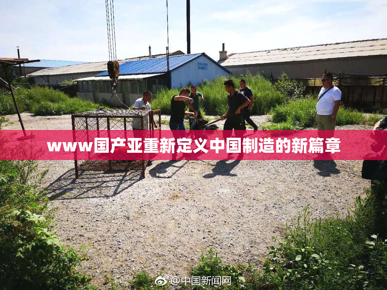 www国产亚重新定义中国制造的新篇章