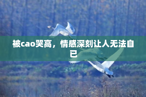 被cao哭高，情感深刻让人无法自已