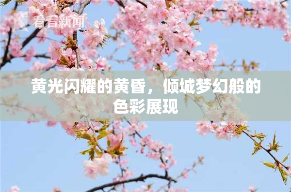 黄光闪耀的黄昏，倾城梦幻般的色彩展现