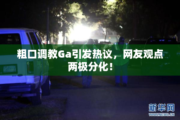 粗口调教Ga引发热议，网友观点两极分化！