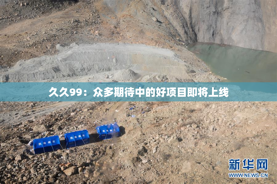 久久99：众多期待中的好项目即将上线
