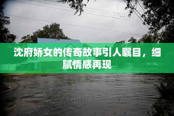沈府娇女的传奇故事引人瞩目，细腻情感再现