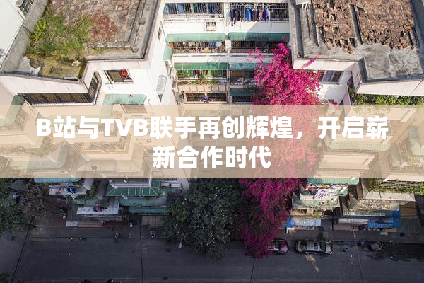 B站与TVB联手再创辉煌，开启崭新合作时代